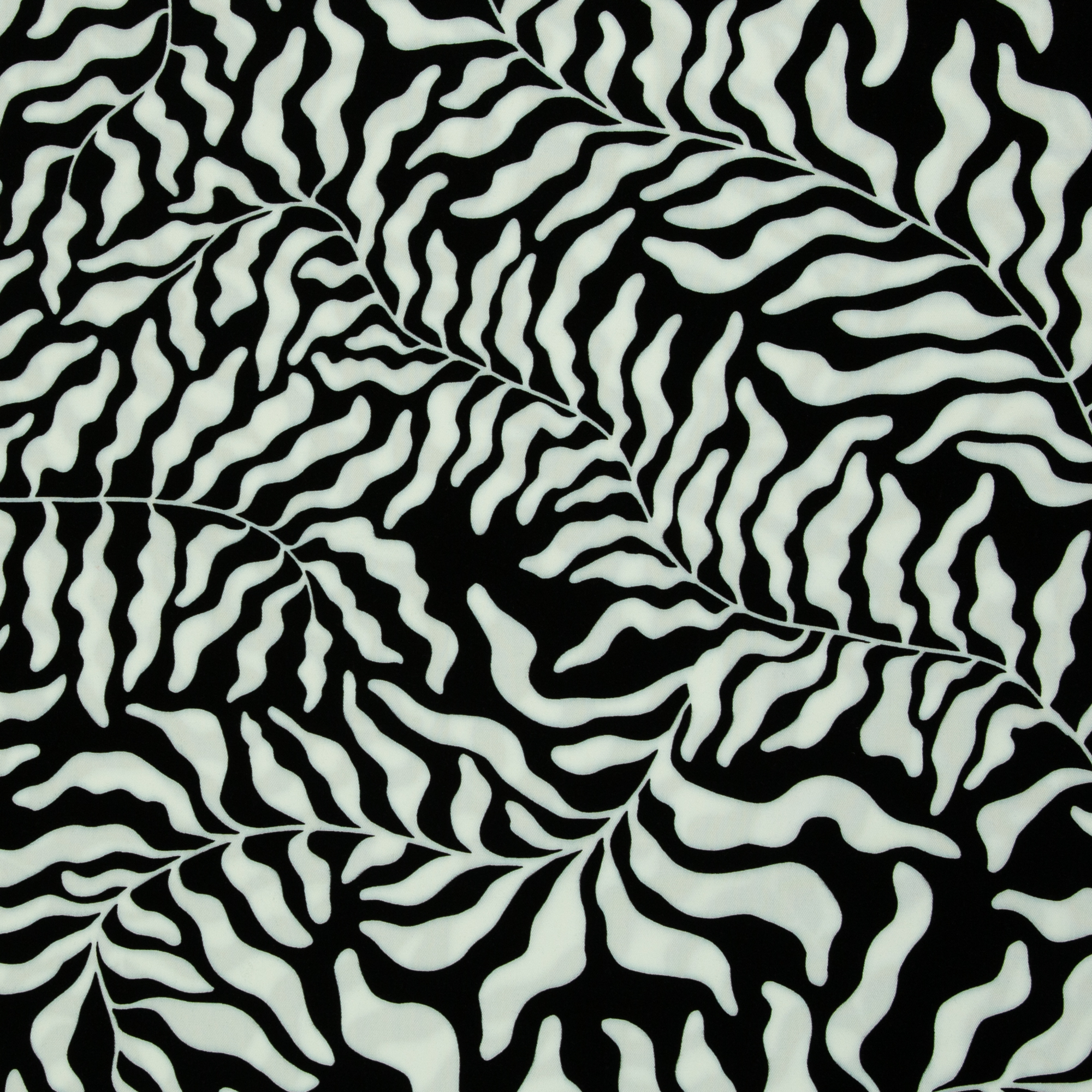 Viskoos Dancing Algae by Thorsten Berger