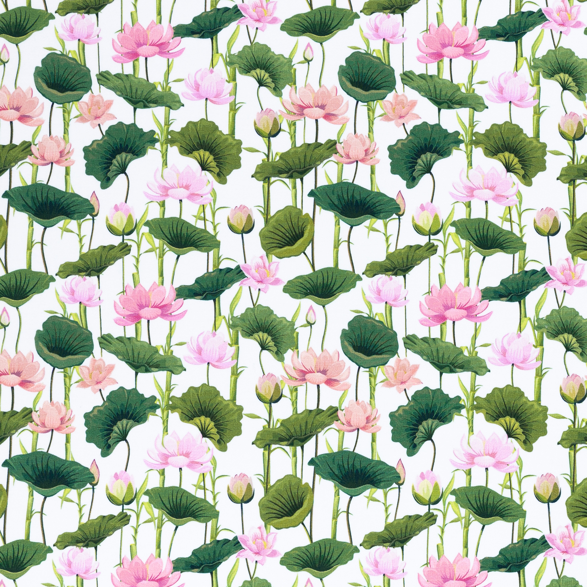 Modaaldressikangas Lotus white