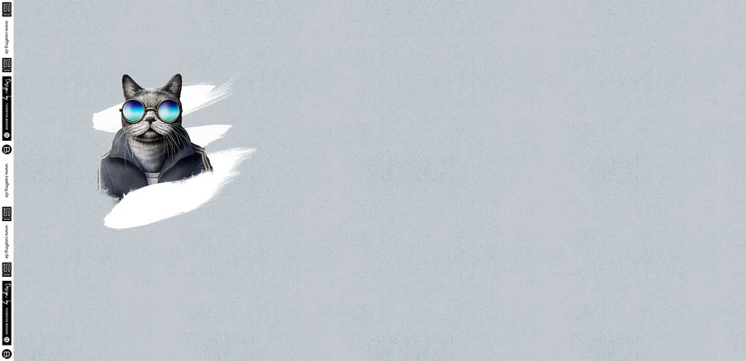 FT kupong Sporty Cat