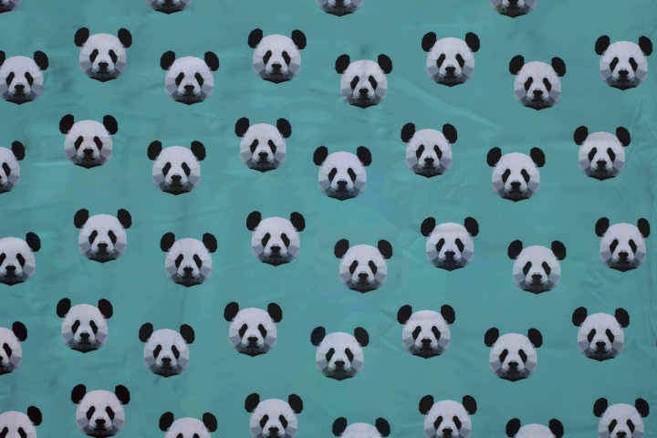 Softshell Panda türkiisil