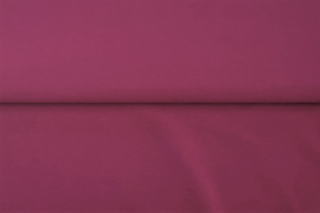 Torusoonik heledam ploomililla