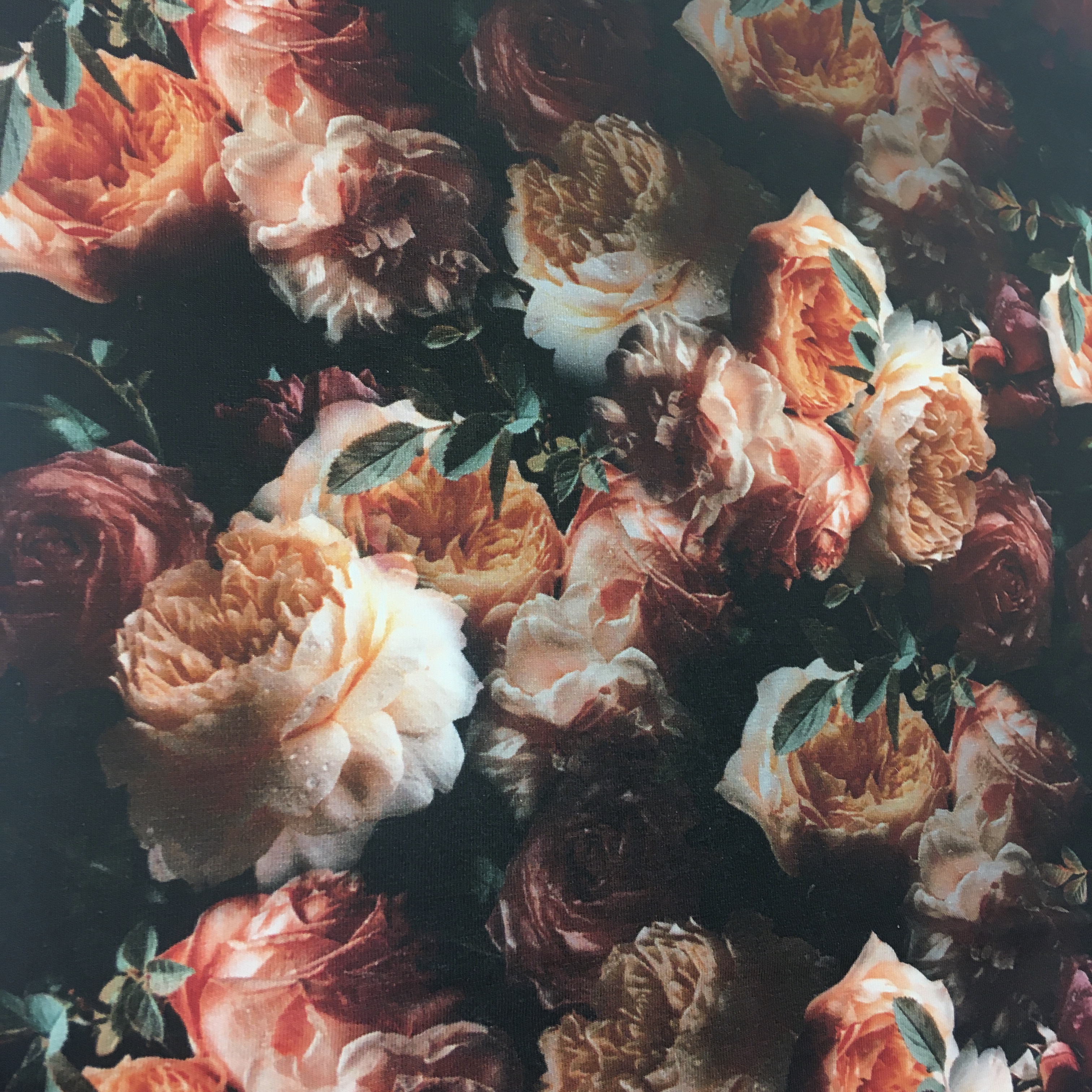 Vintage roosid tumedal