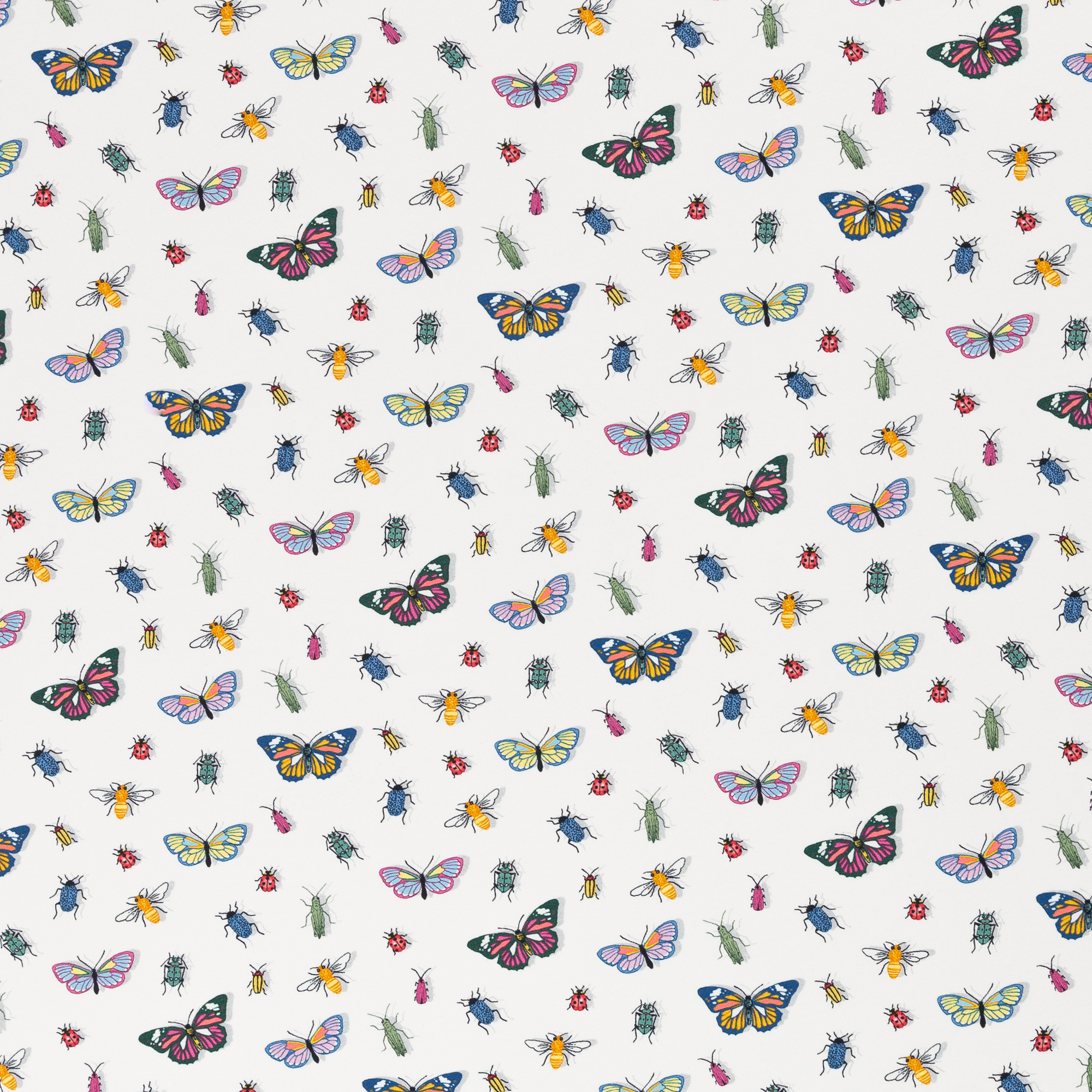 Butterflies, Bugs, white