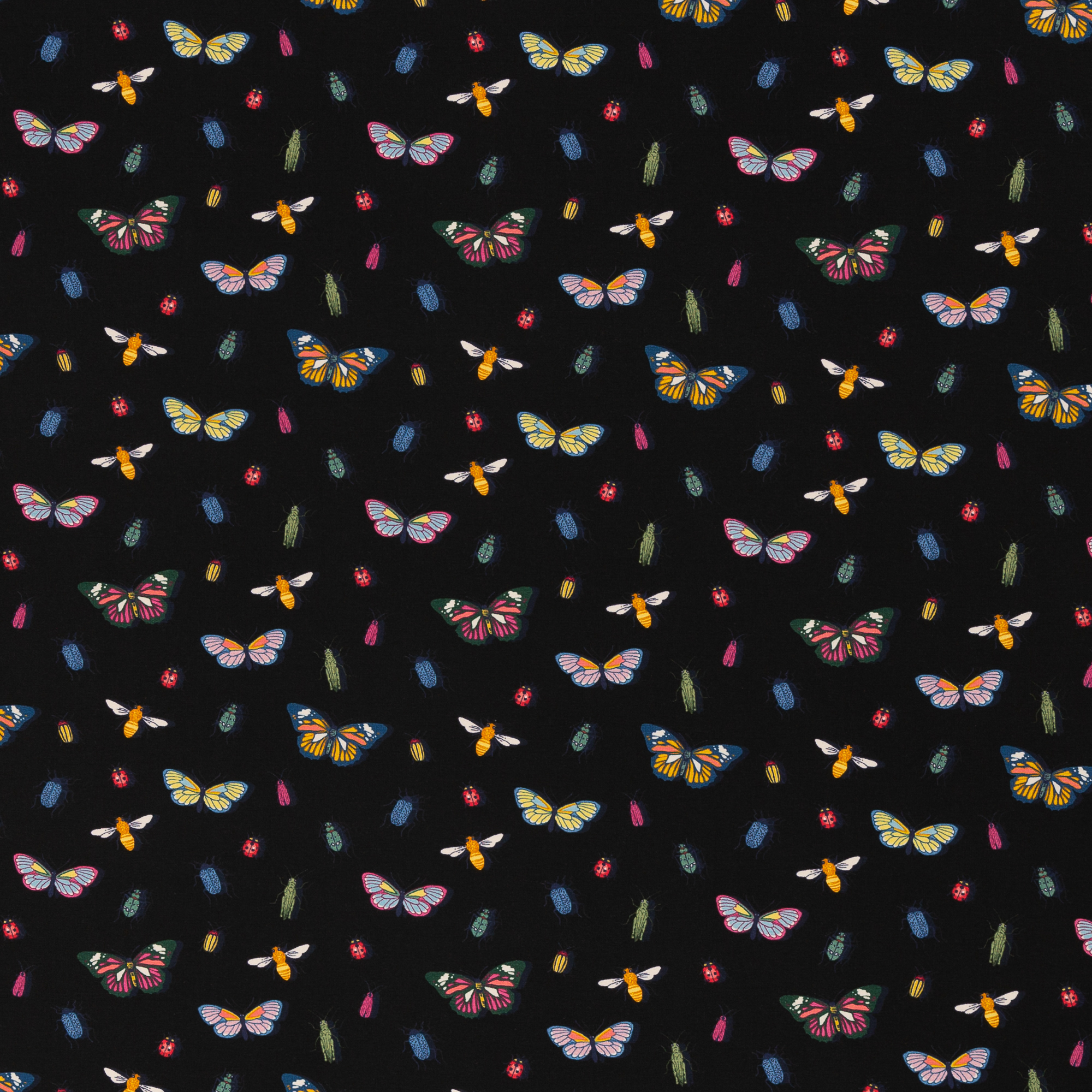Butterflies, Bugs, black