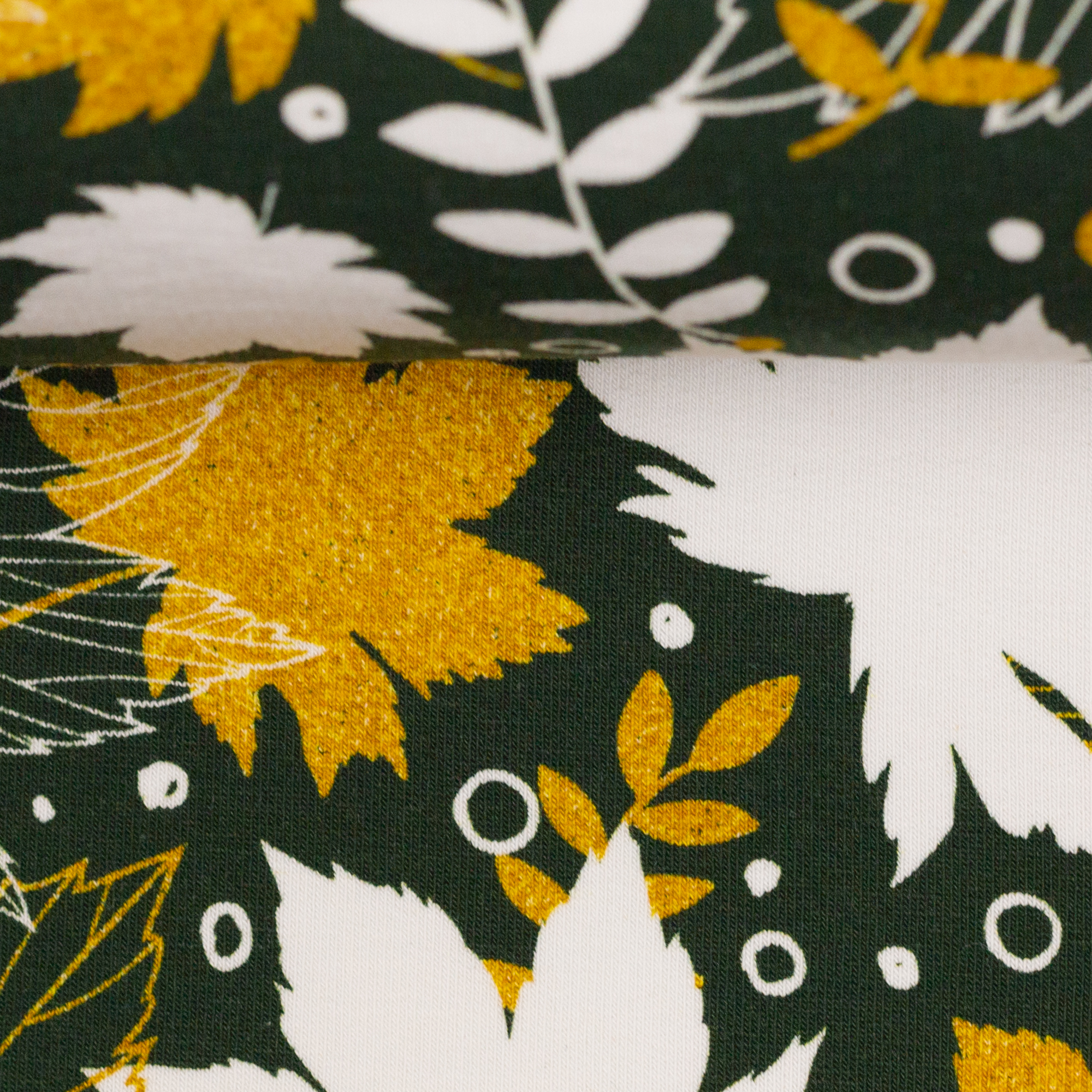 FT Toronto Maple leaves