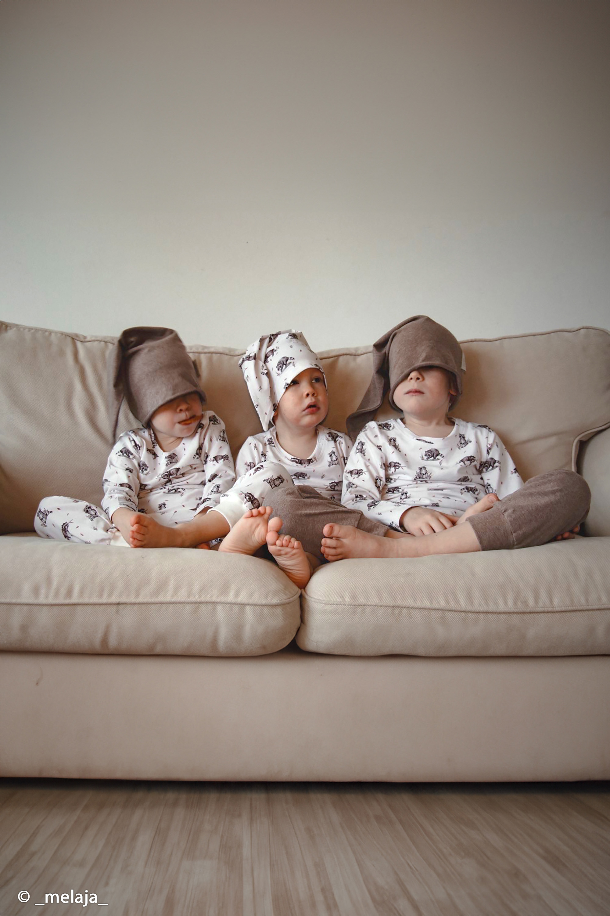 Trikotaaž Life in the Forest- raccoon, digiprint