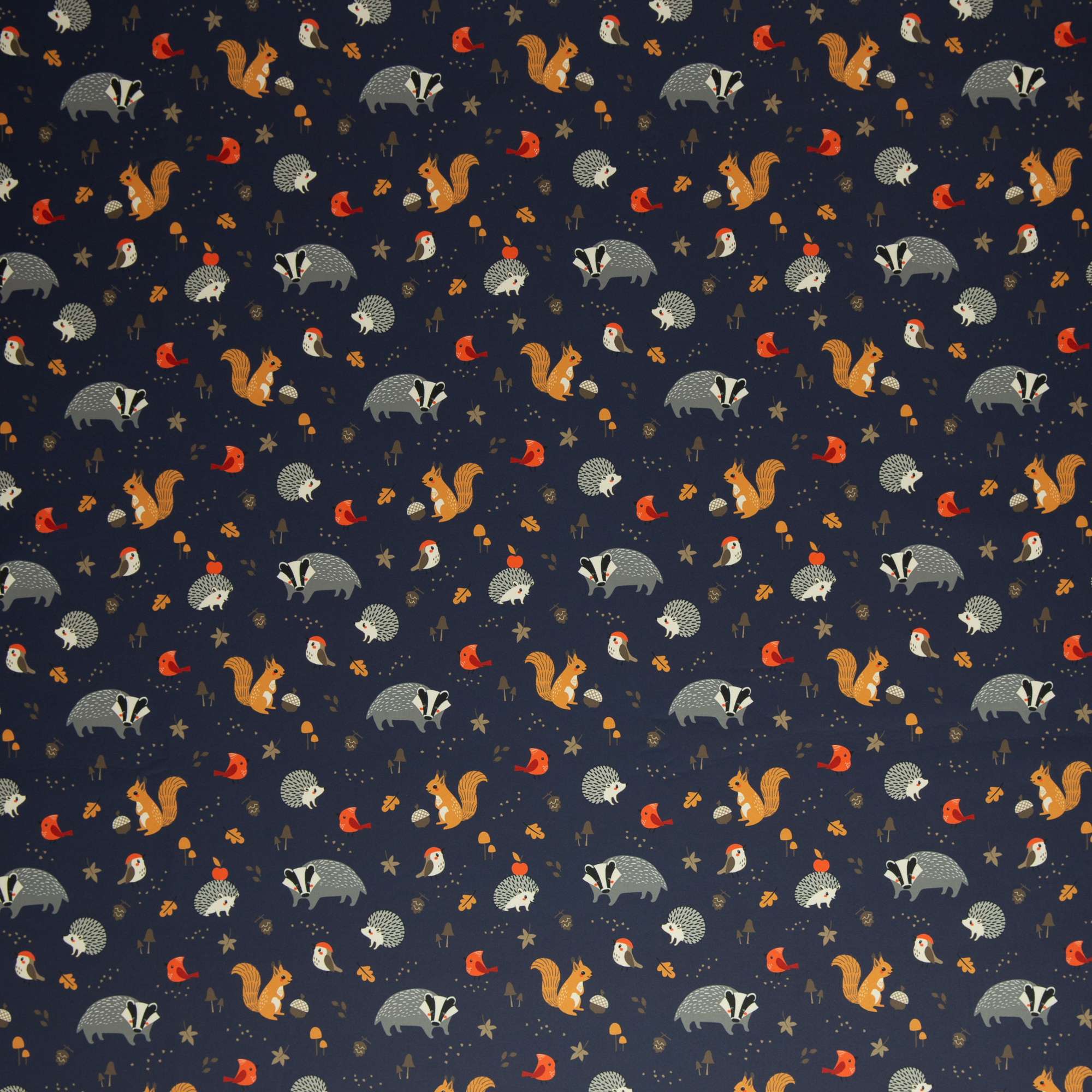 Softshell metsaloomad tumesinisel