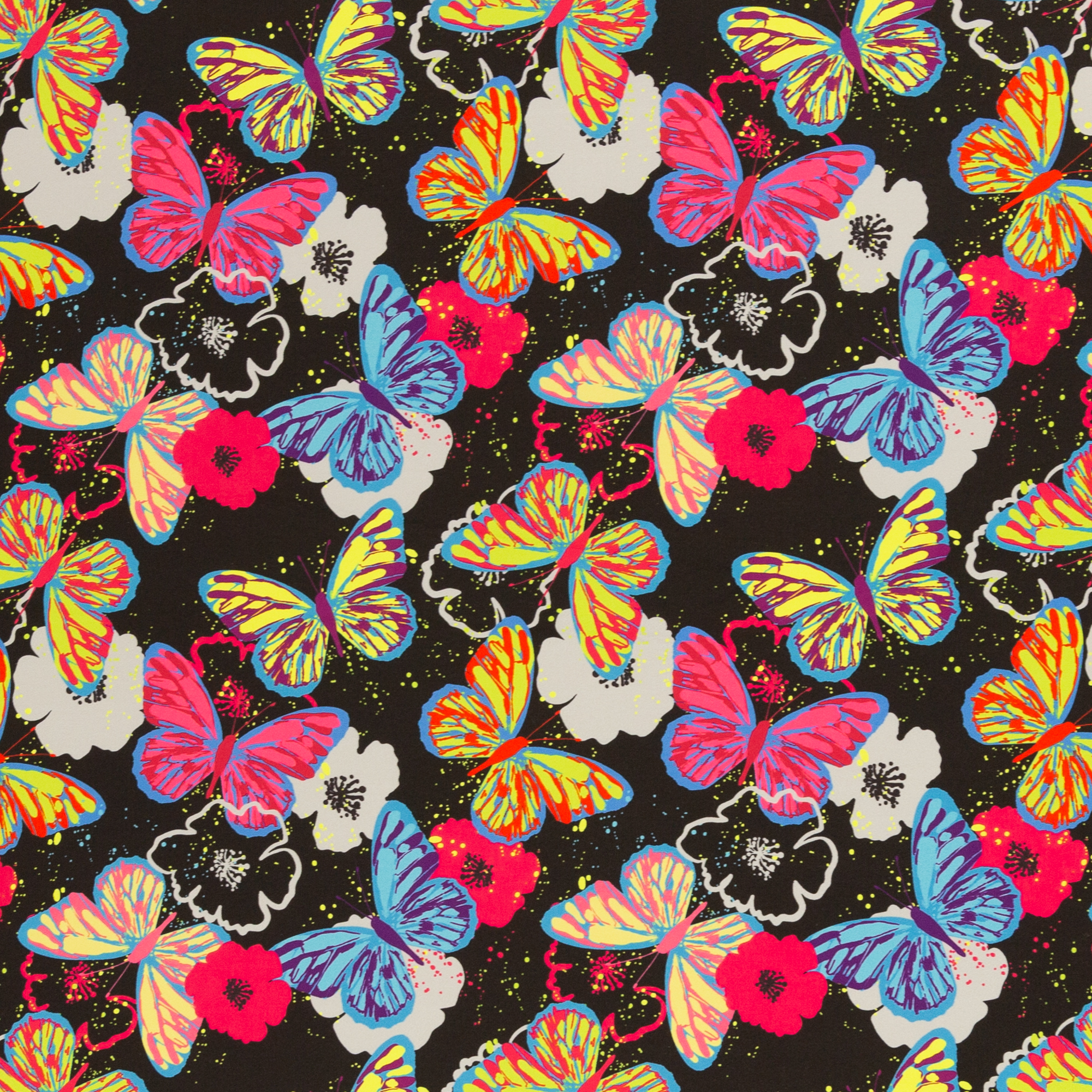 Softshell Butterflies multicoloured/black
