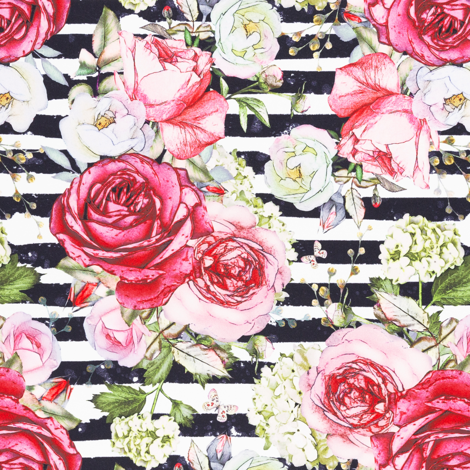 Softshell Roses in stripes