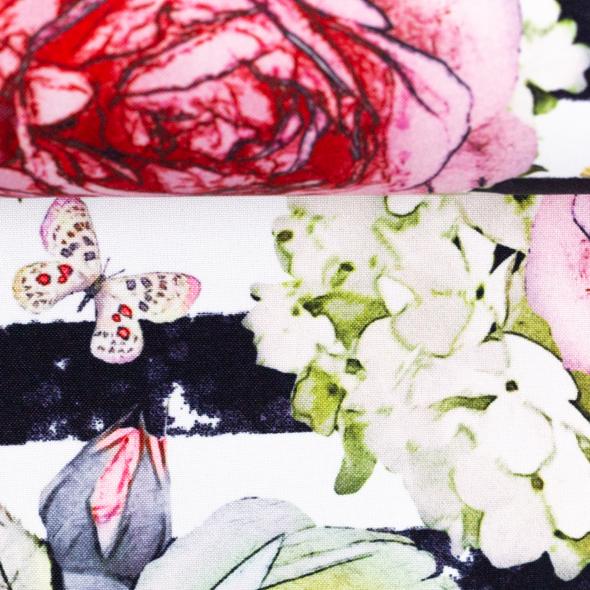 Softshell Roses in stripes