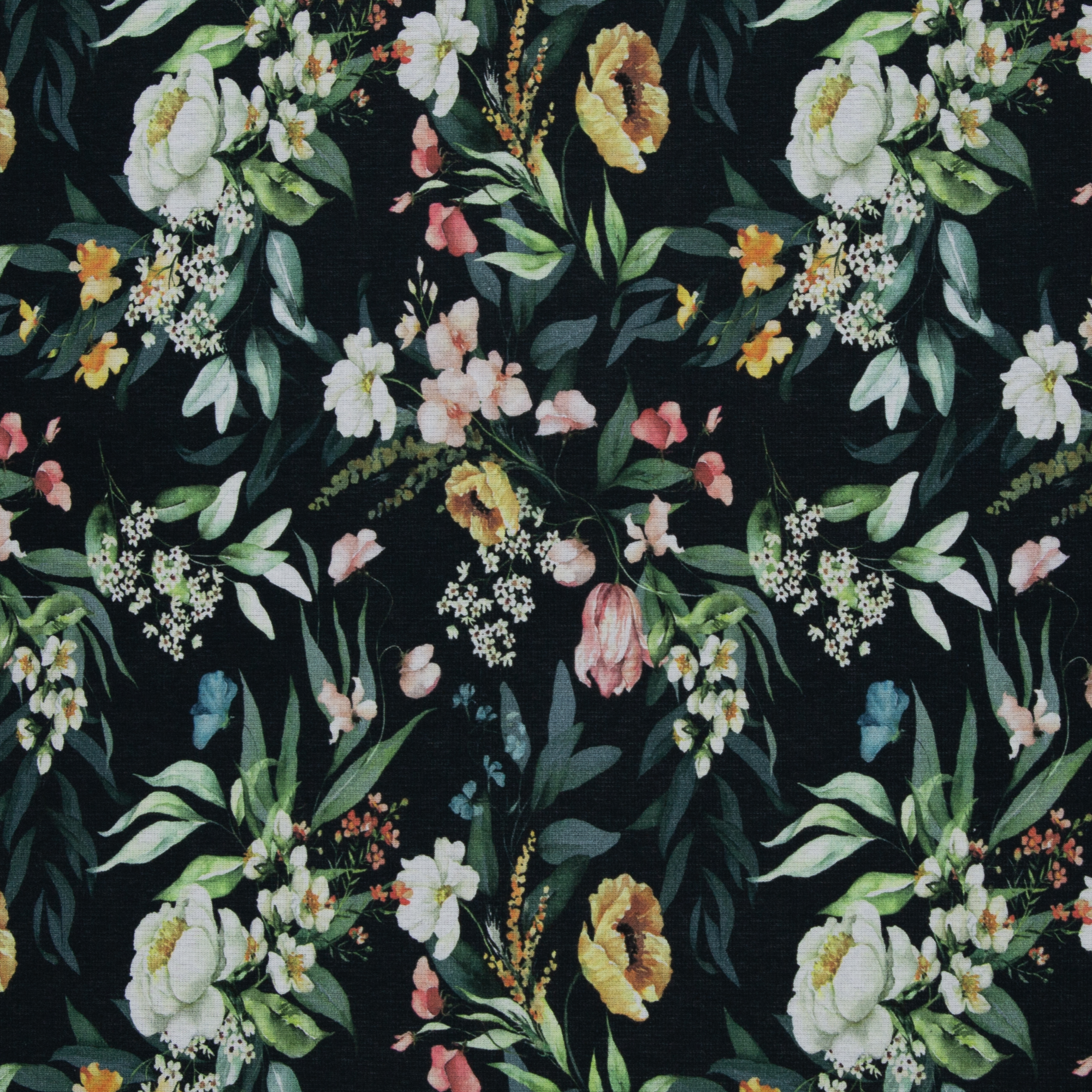 Alpifliis Lilled mustal