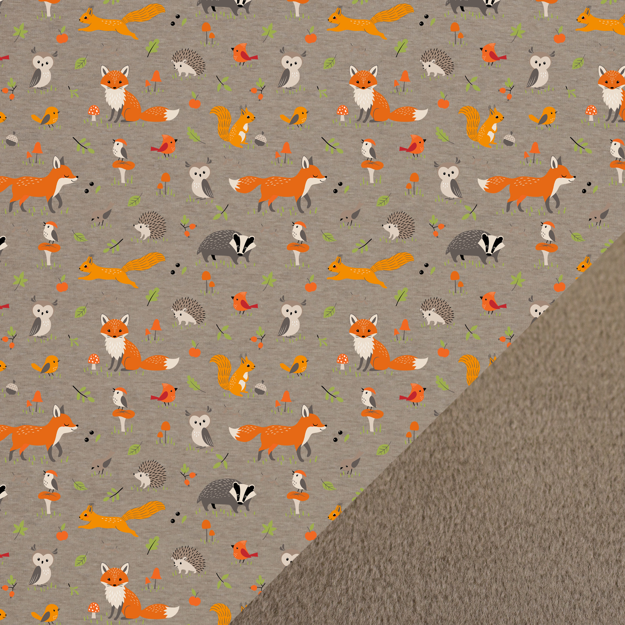 Alpifliis Metsaloomad hallil