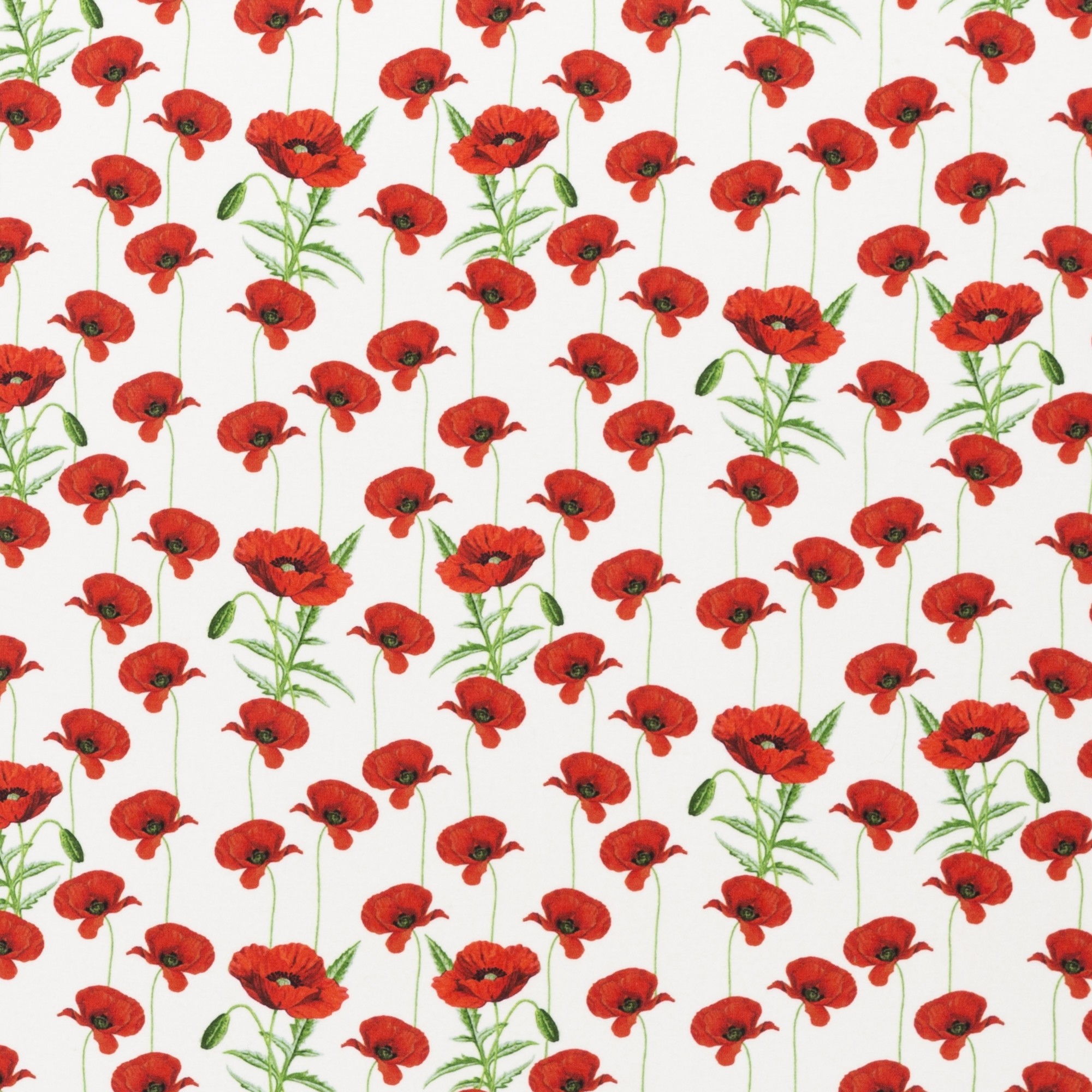 Trikotaaž Moonid valgel