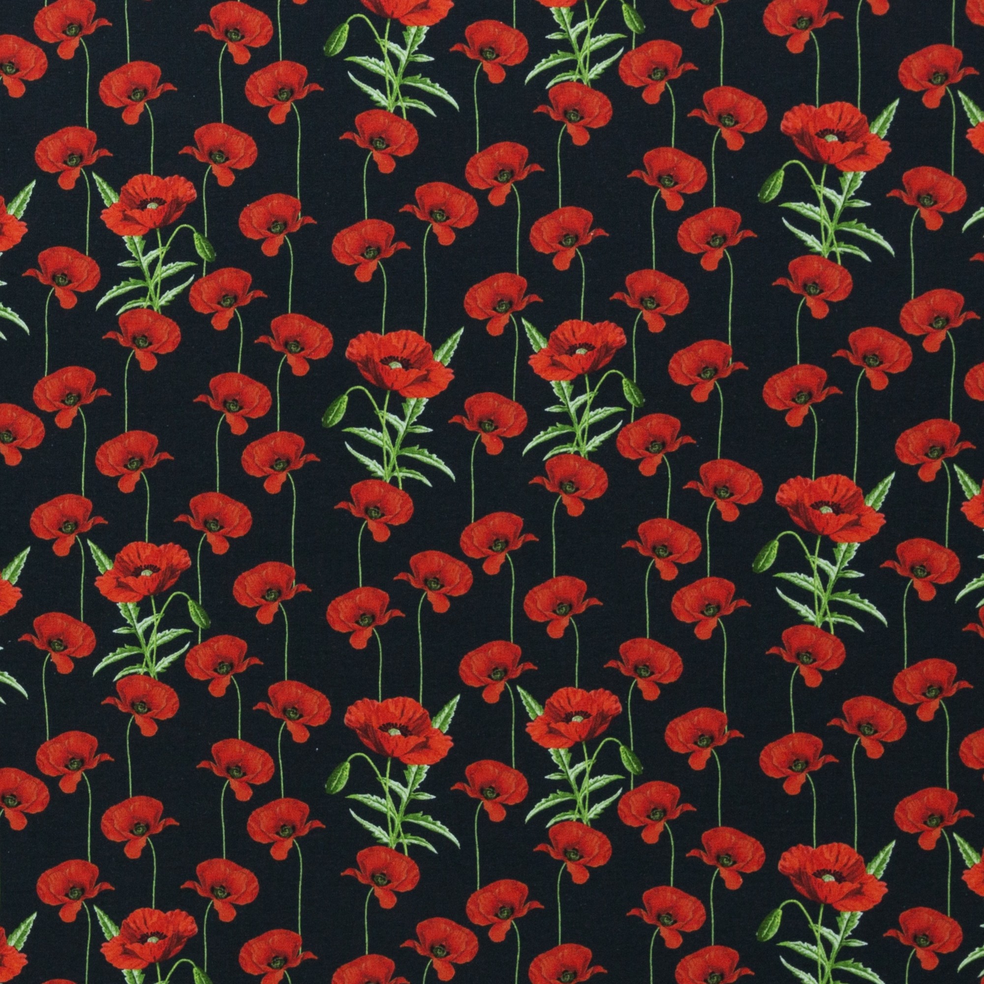 Trikotaaž Moonid mustal