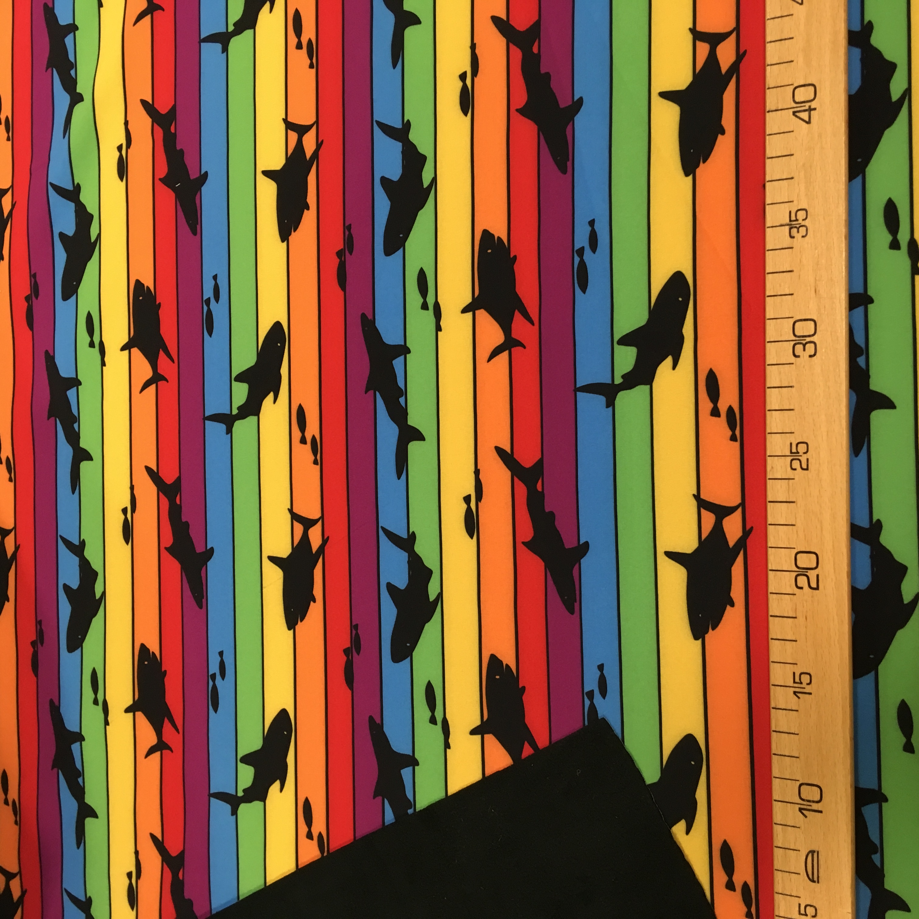 Softshell Haid vikerkaarel