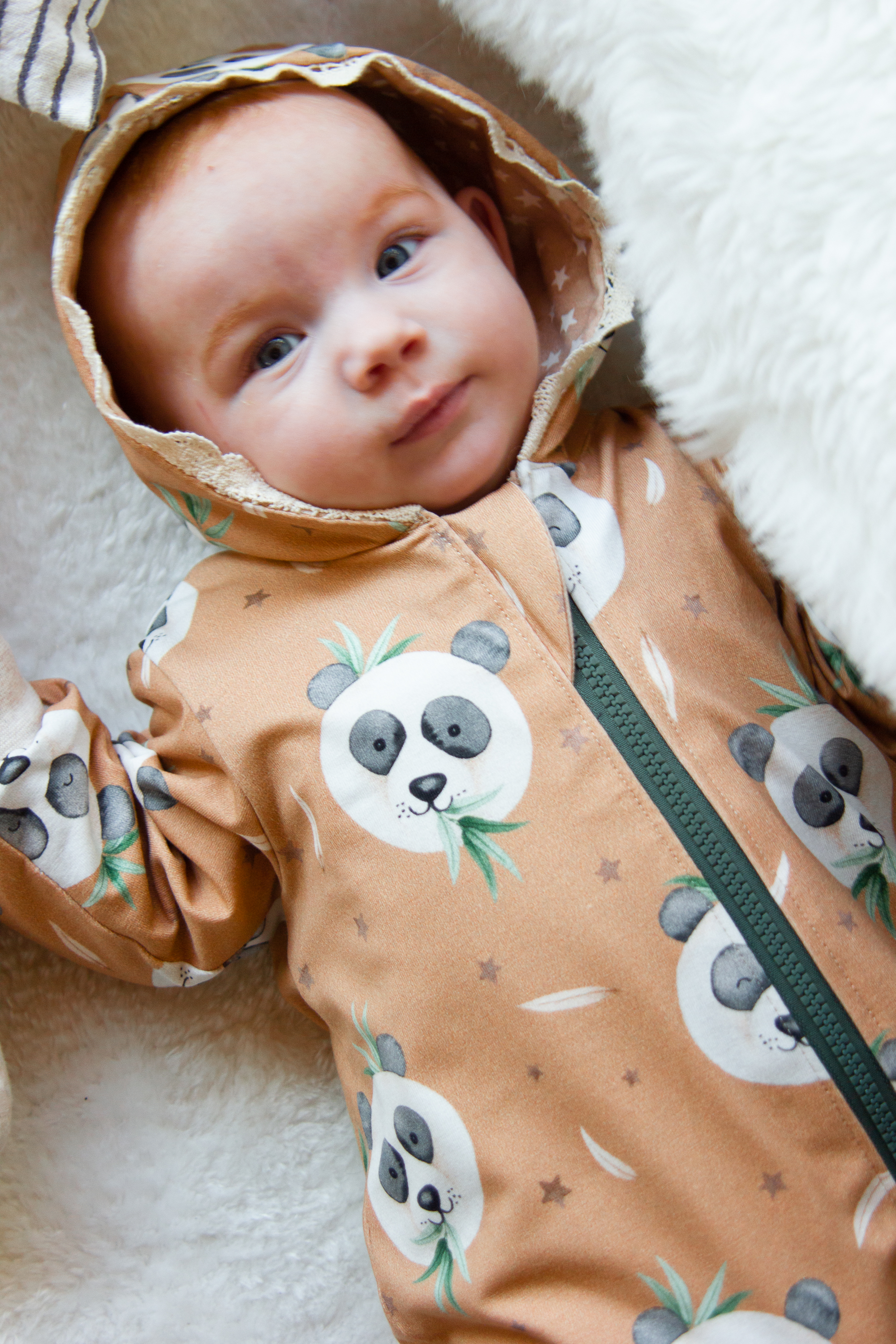 Trikotaaž Panda Bear camel, digital print