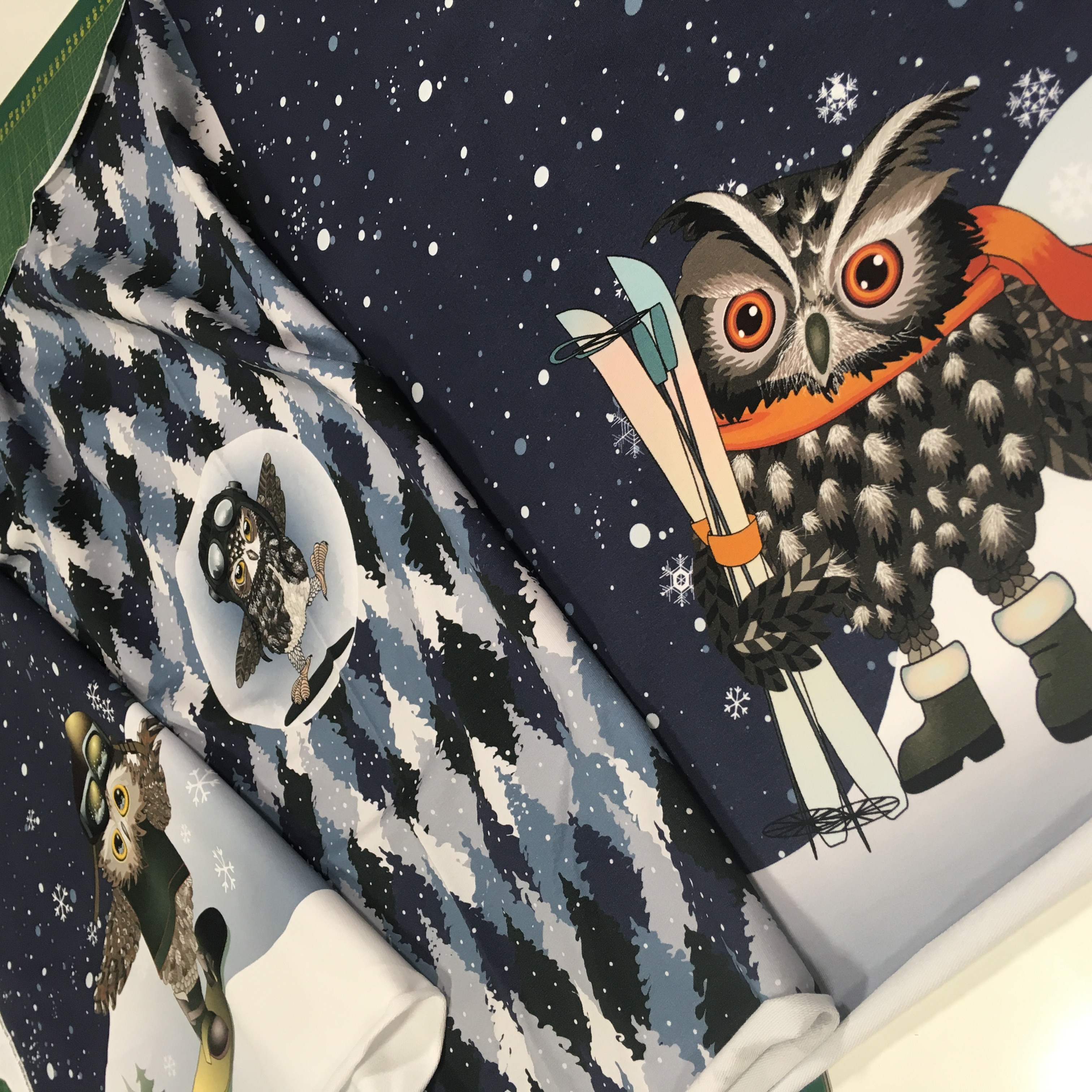 FT kupong Öökullid sinisel