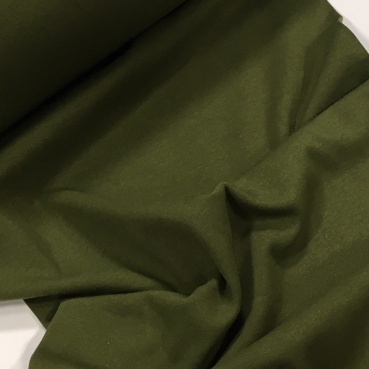 Torusoonik metsaroheline