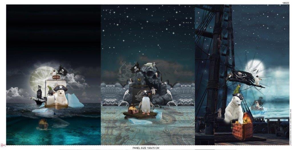 FT kupong Winter Pirates