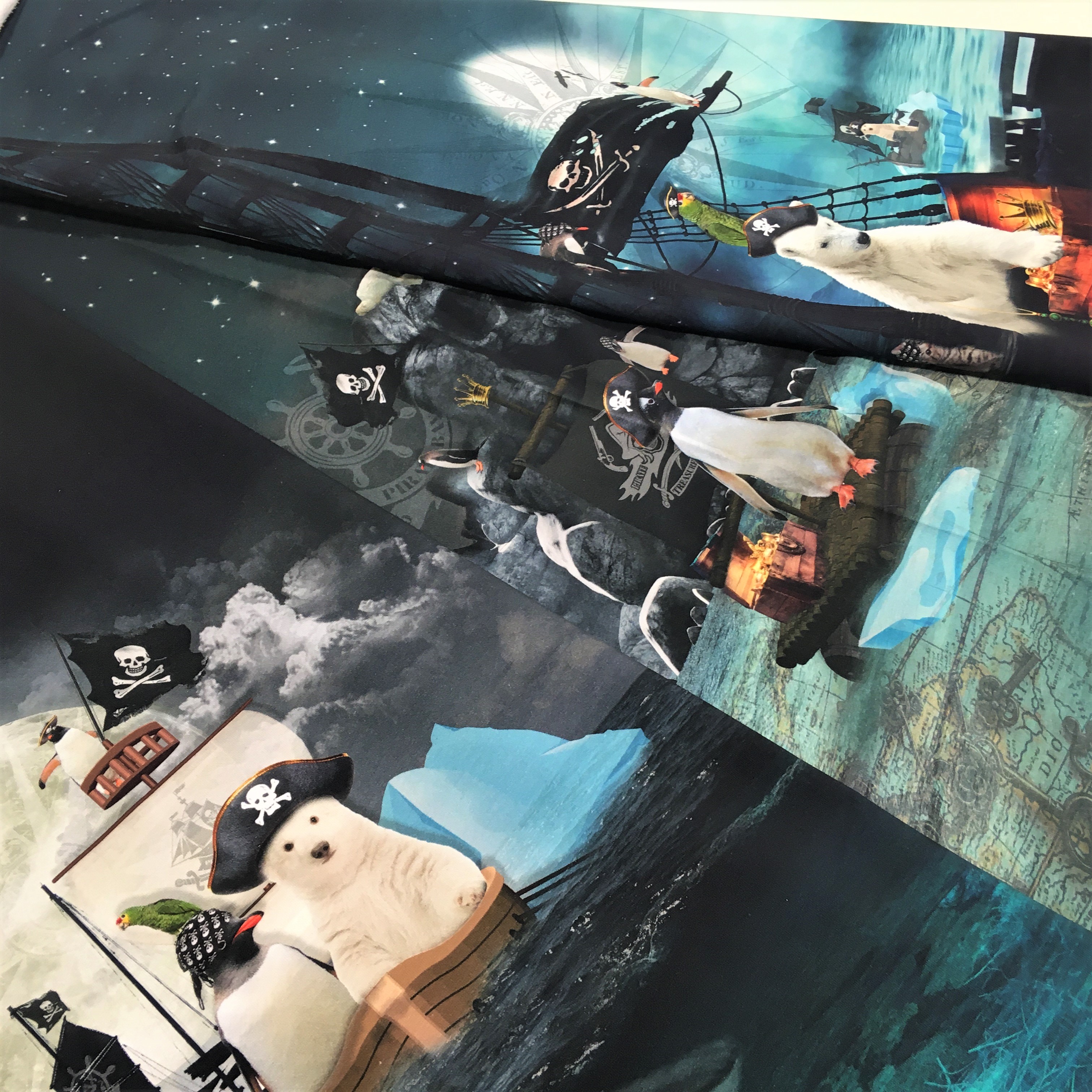 FT kupong Winter Pirates