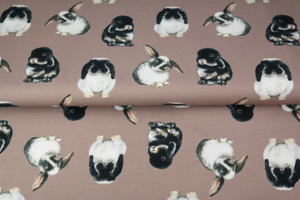 Trikotaaž Jänkud beežil, digital print