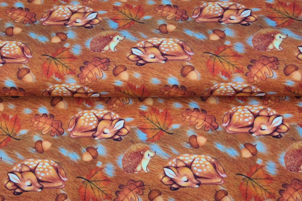 FT magav kitseke ja siil