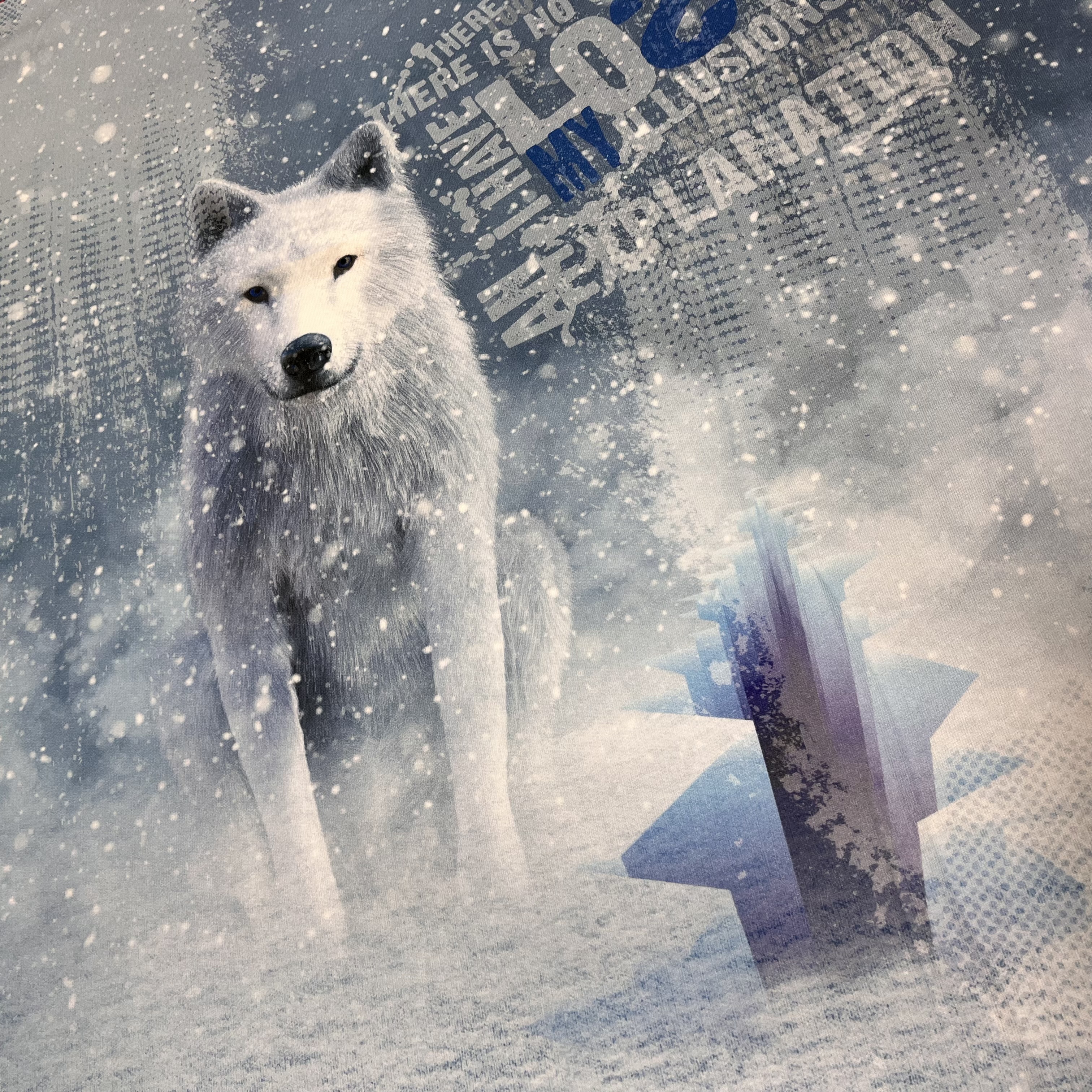 Paksem dressikangakupong Hunt talves 200x150, digiprint