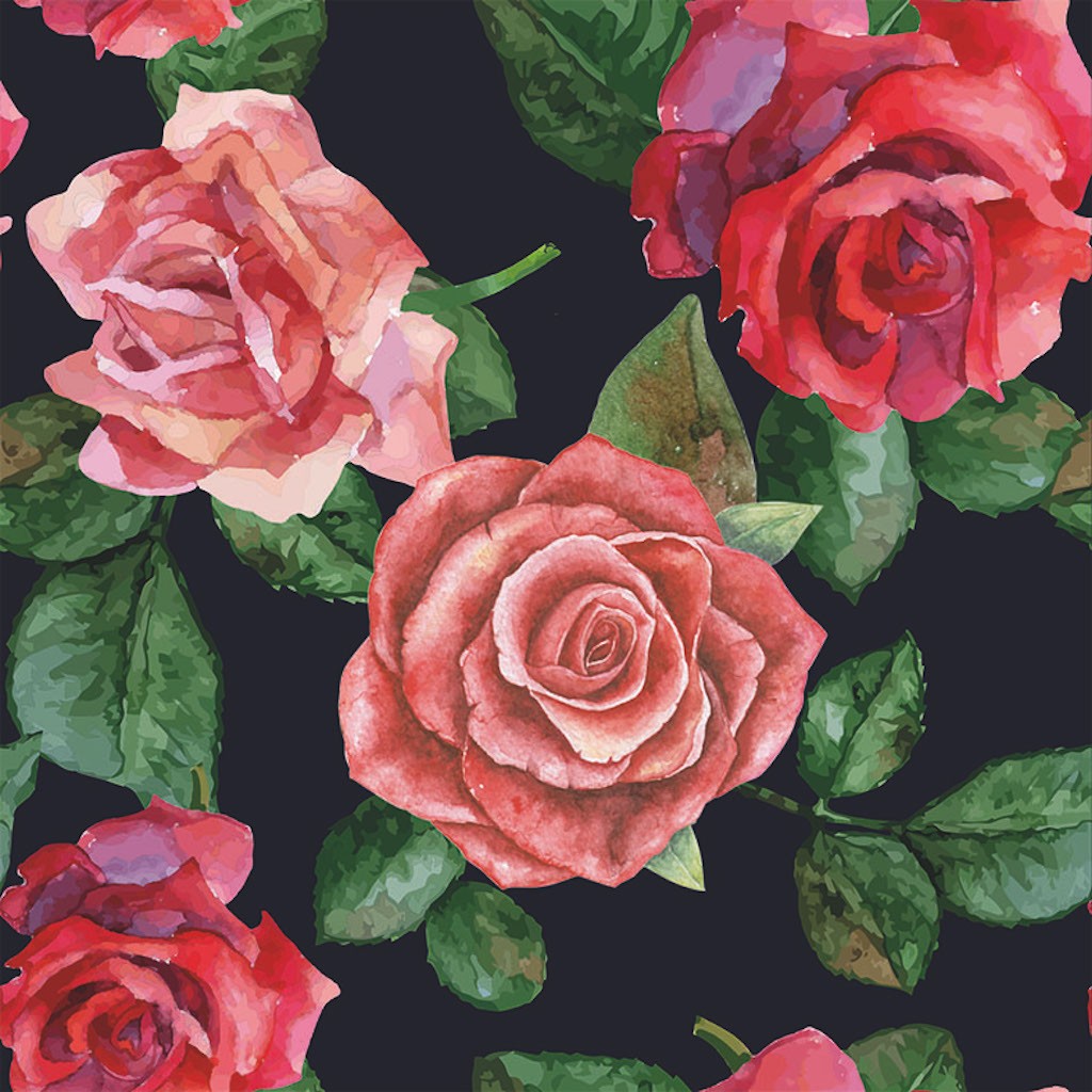 Maalitud roosid mustal