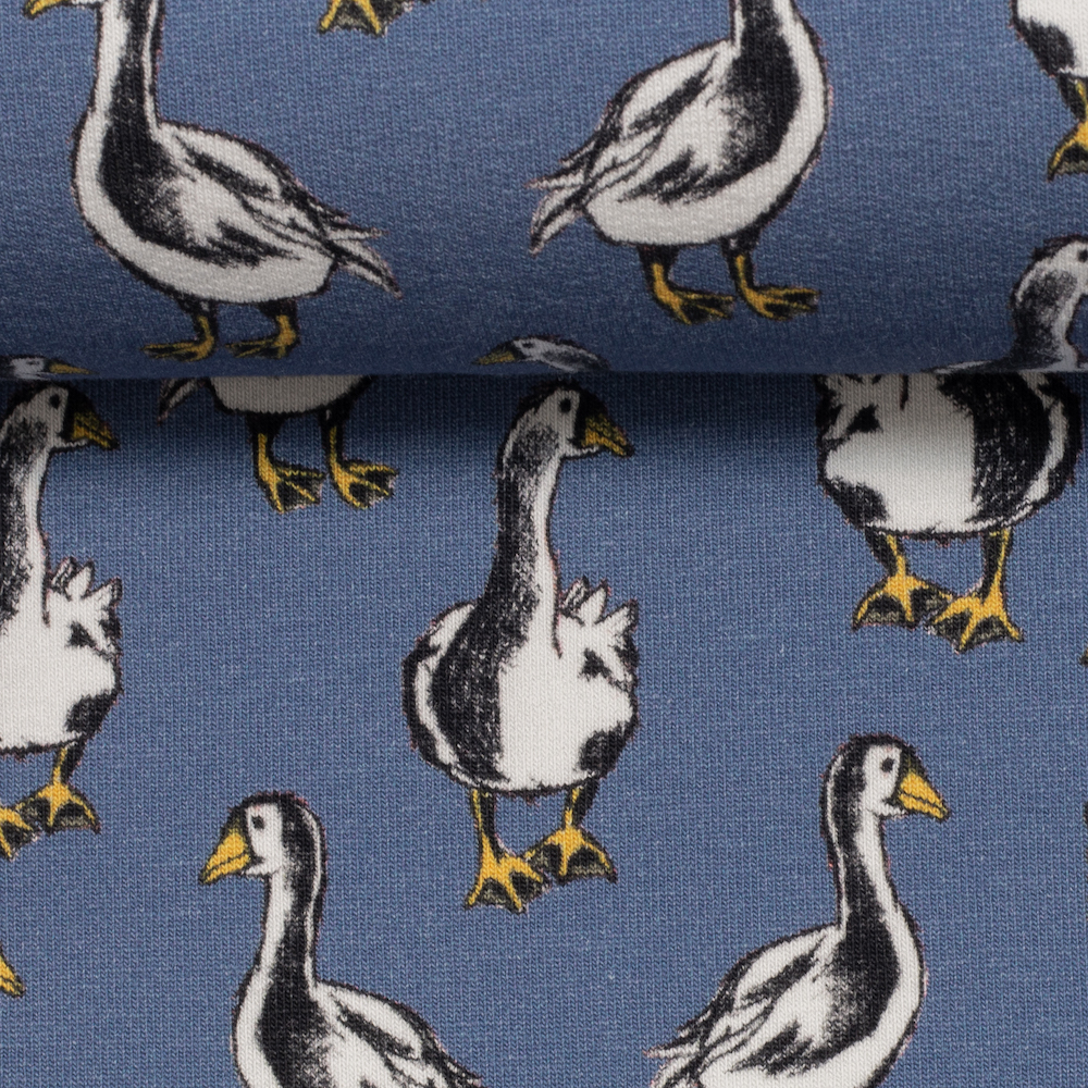 Dressikangas Haned sinisel