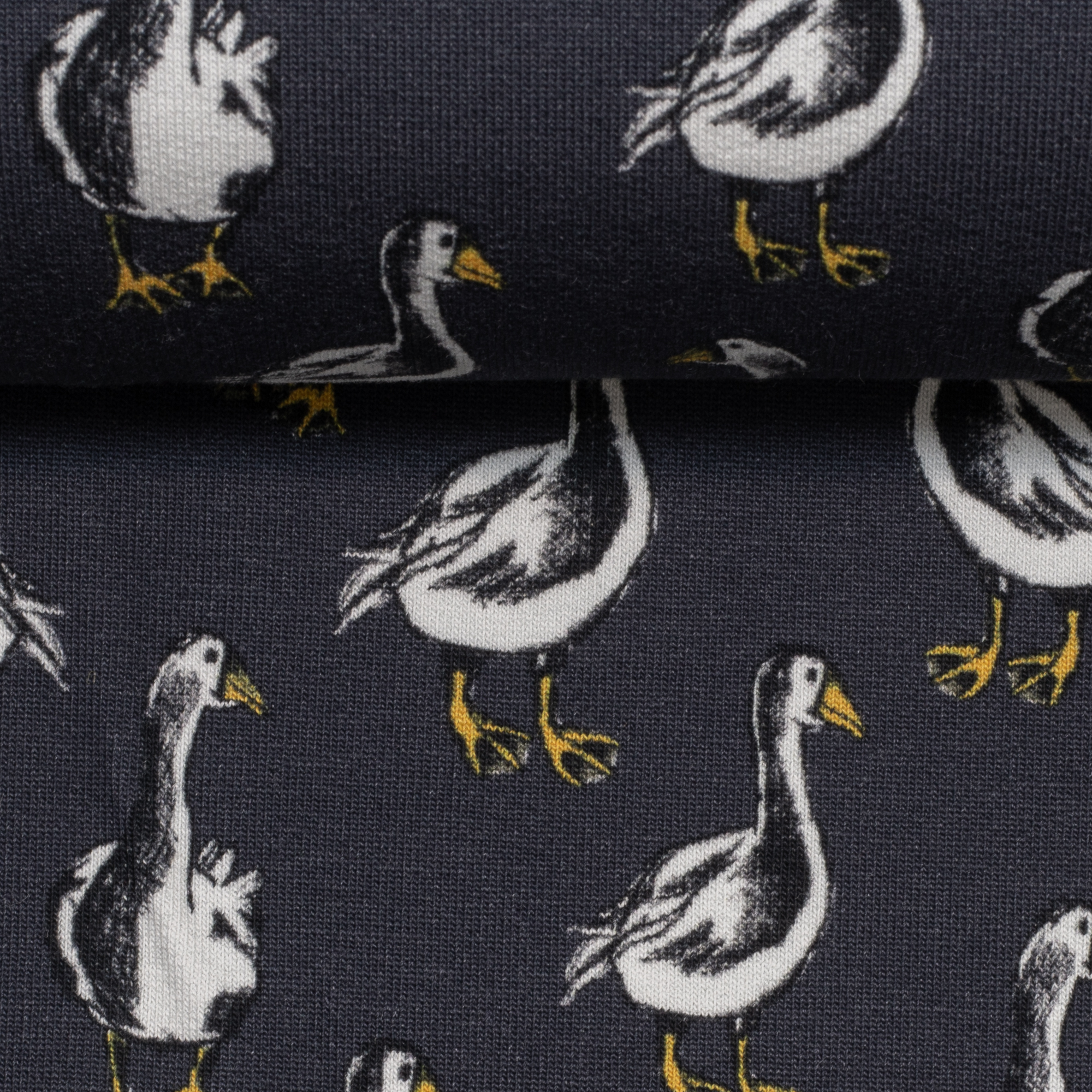 Dressikangas Haned tumehallil