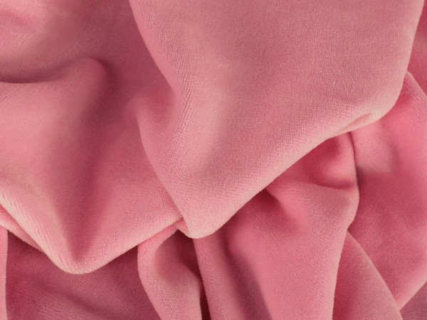 Nicky veluur beebiroosa