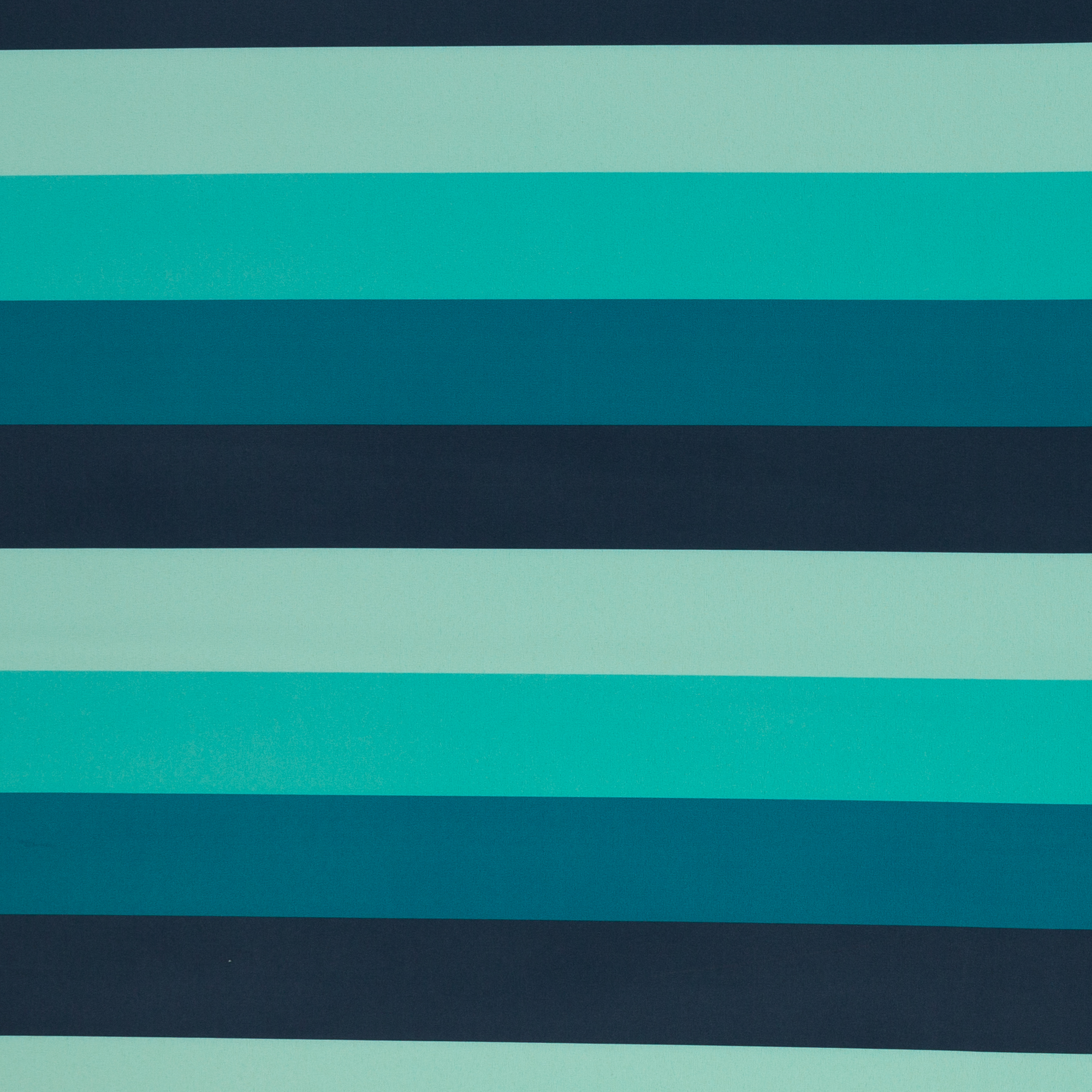 Paksem, karvastatud softshell Blue Stripes