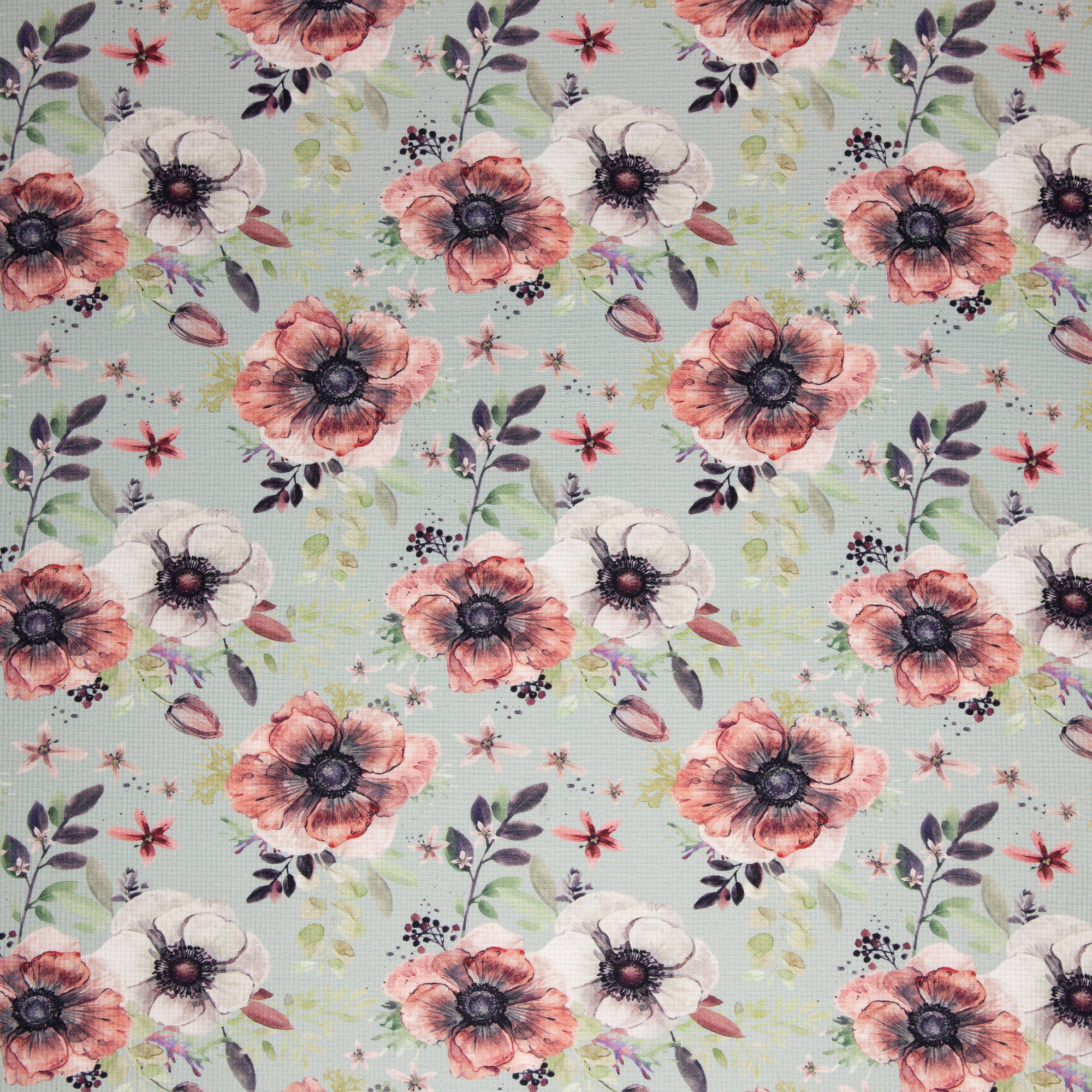 Trikotaaž vahvelkoes Anemoonid mindil