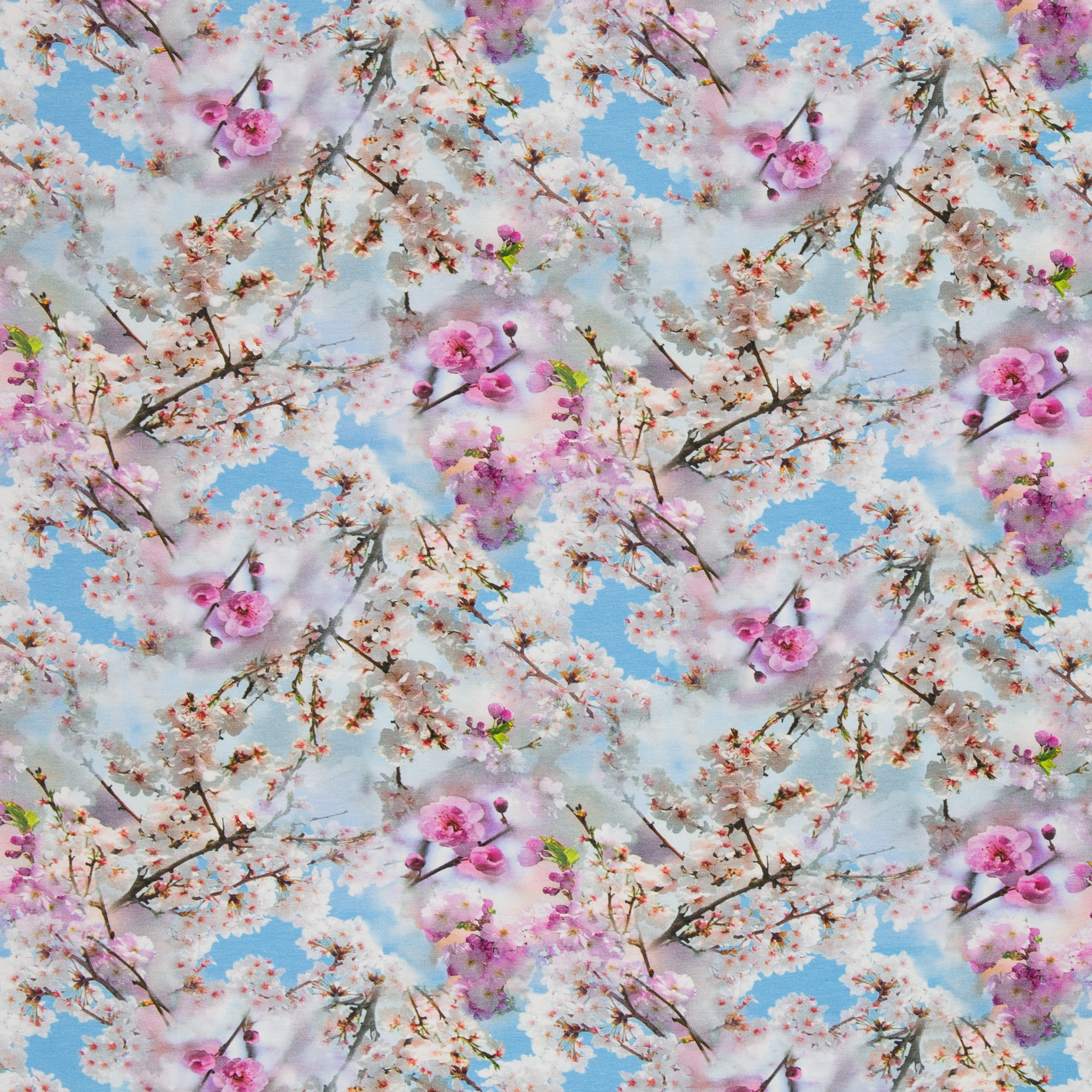 Trikotaaž Cherry Blossoms, digiprint