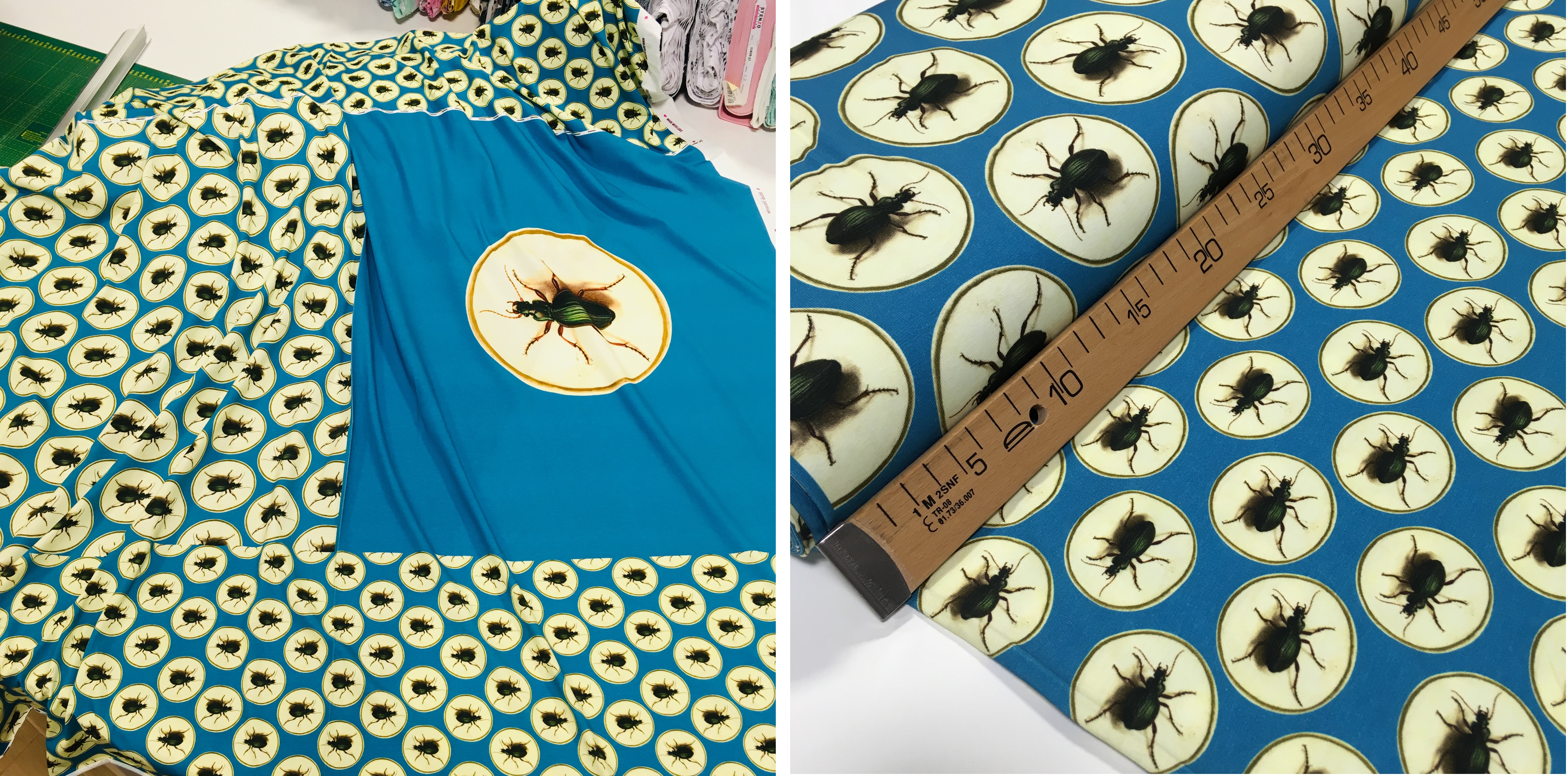 Kupong Põrnikas sinisel