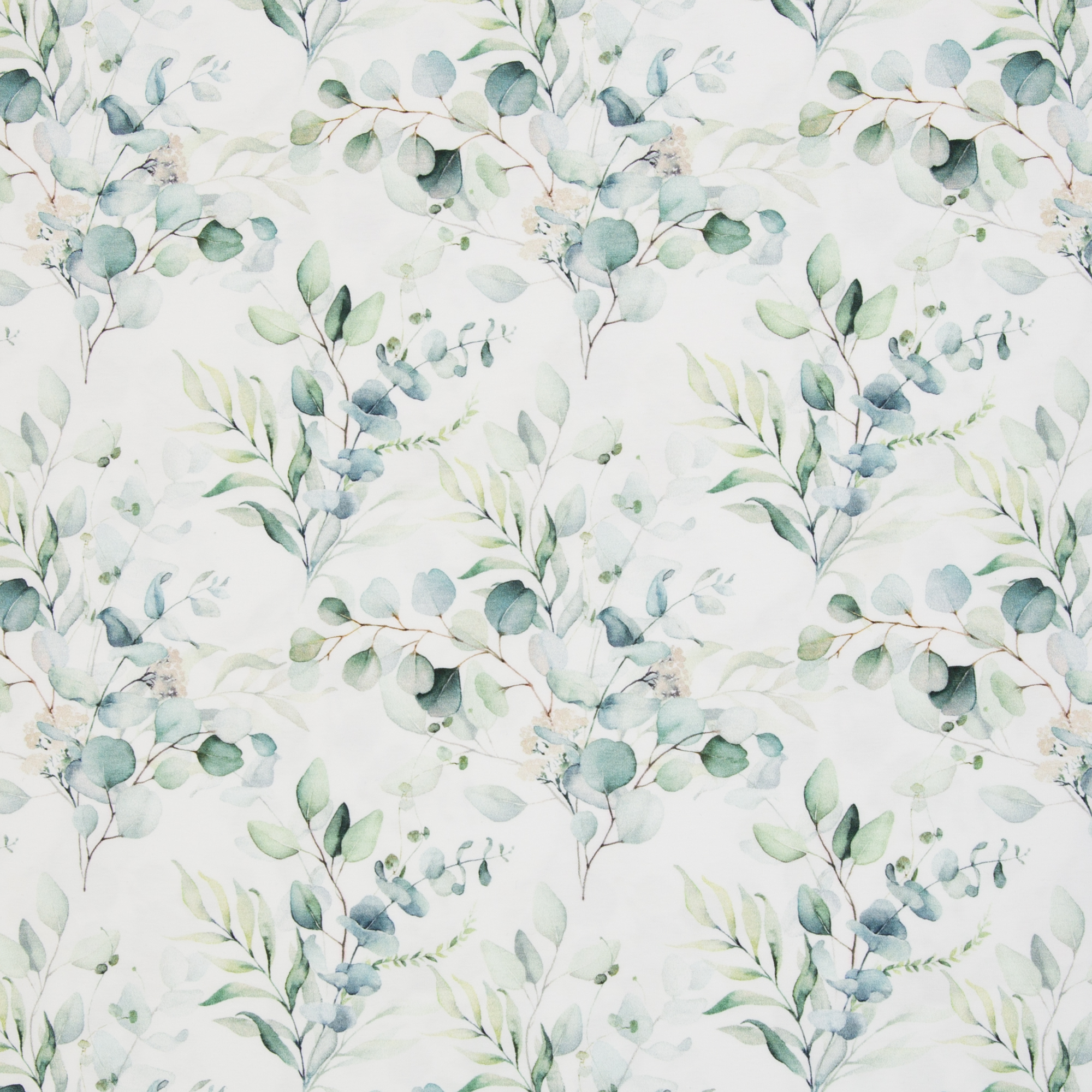 Trikotaaž Eucalyptus leaves, digiprint