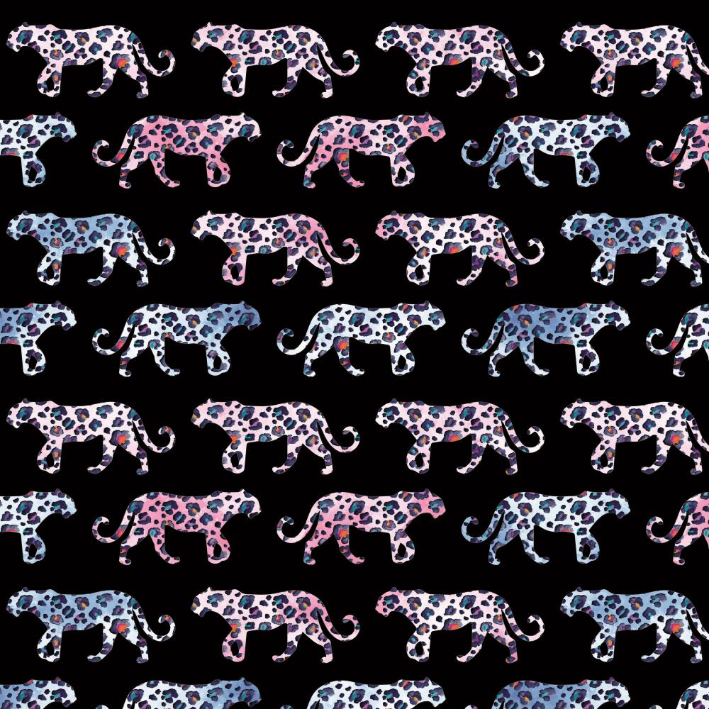 FT Walking on the wild black