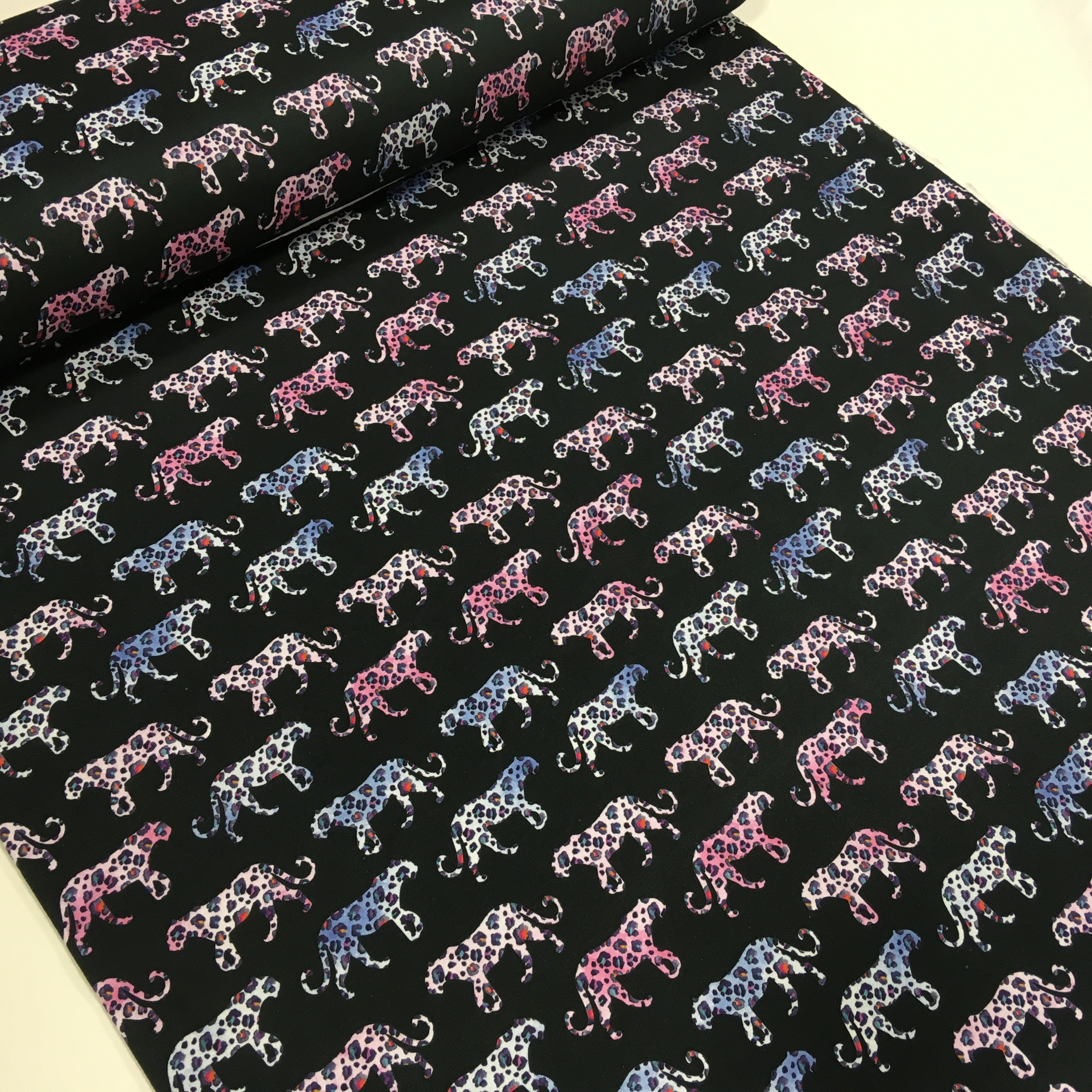 FT Walking on the wild black