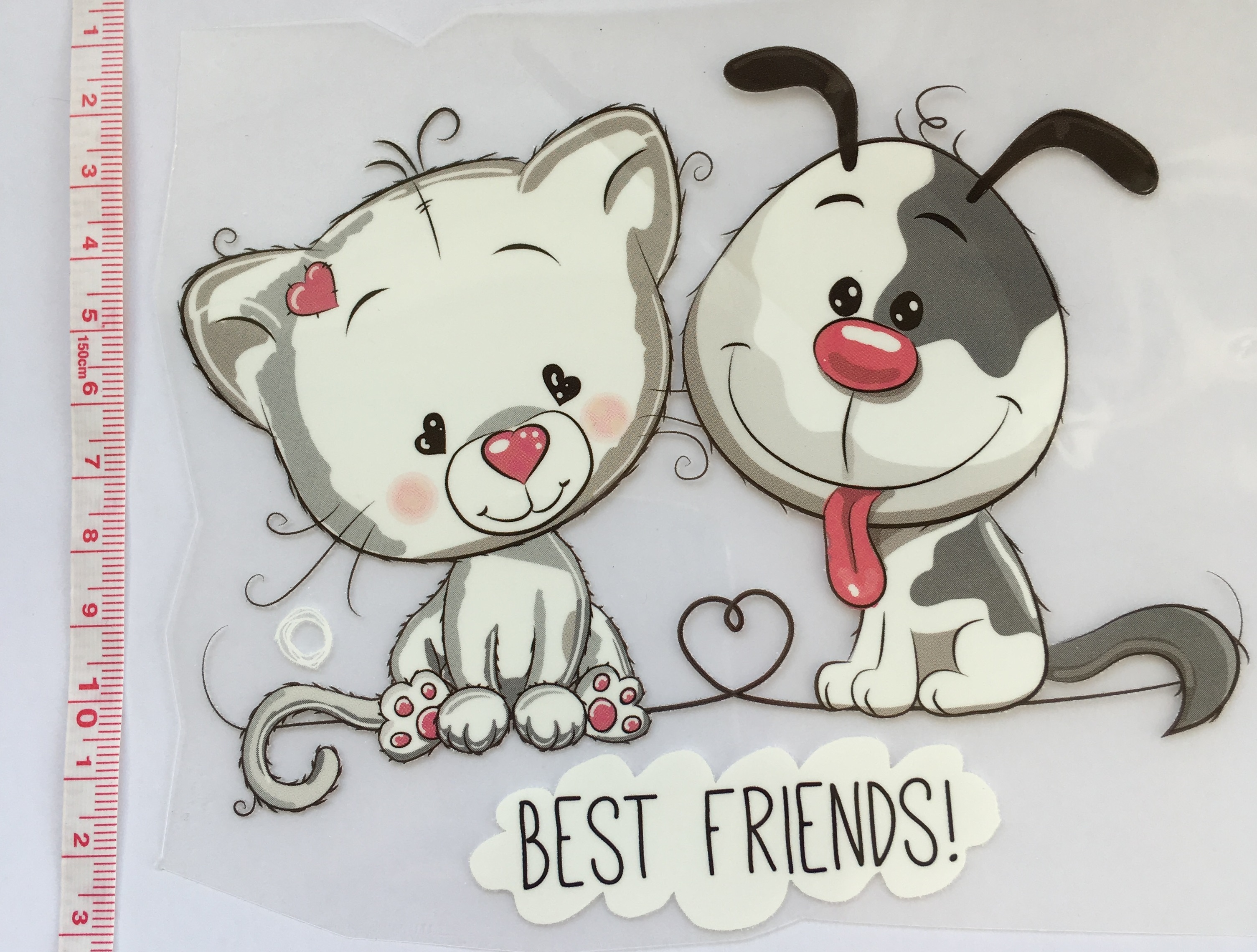 Triigitav aplikatsioon Best Friends 